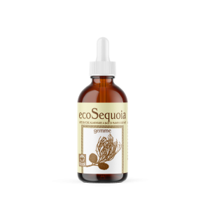 EcoSequoia