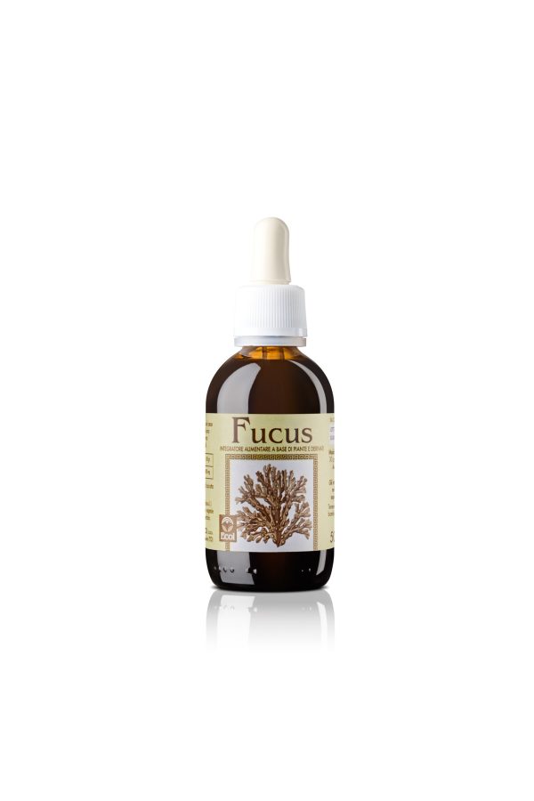 Fucus