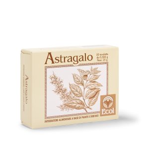 Astragalo