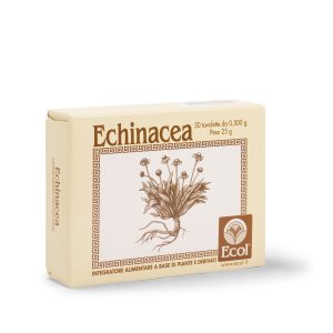 Echinacea