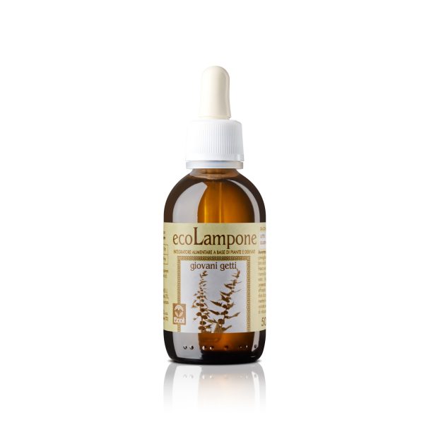 EcoLampone