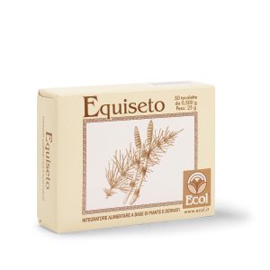 EQUISETO