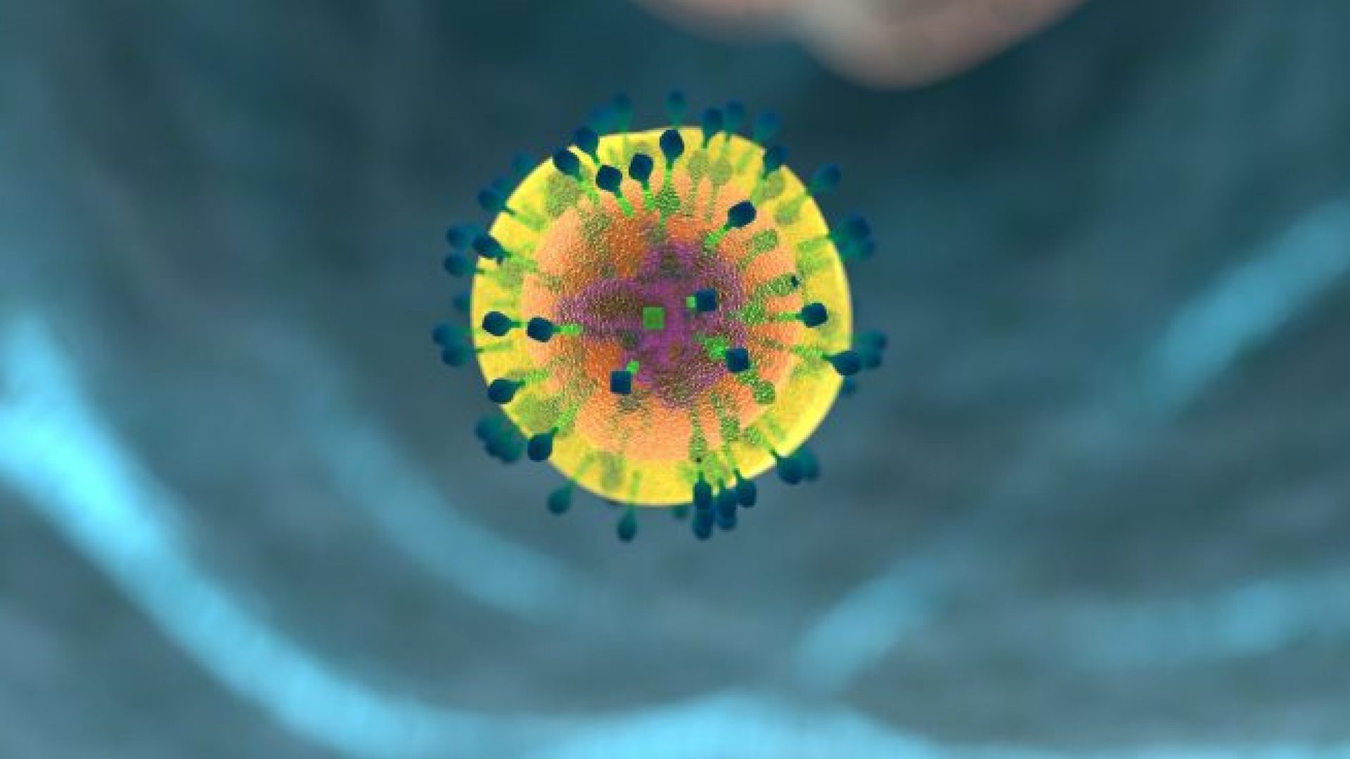 immunostimolanti-naturali